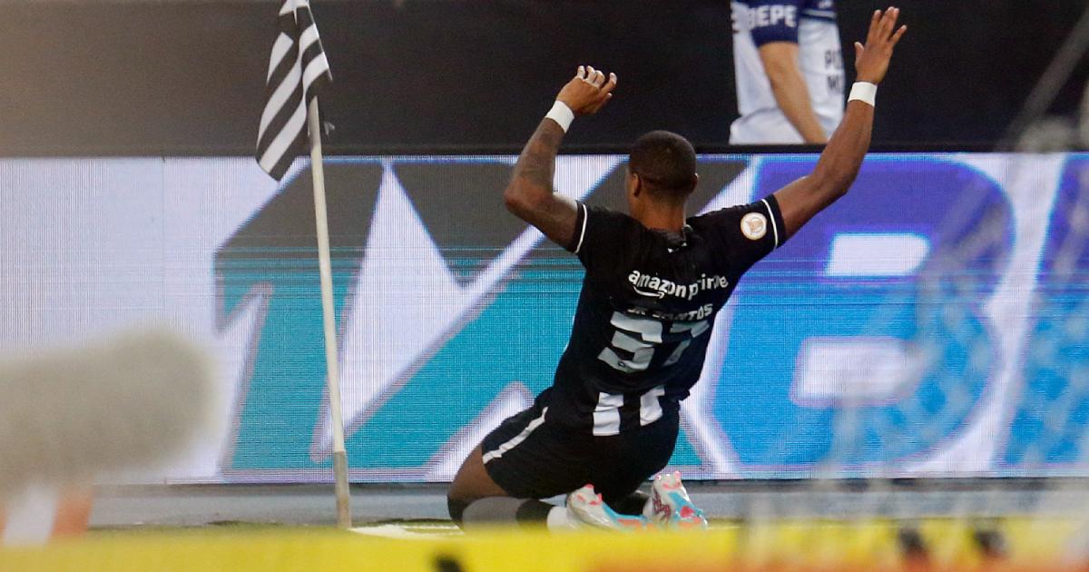 (VIDEO) Botafogo ganó y se afianzó en la cima del Brasileirao